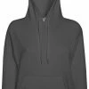 Fruit Of The Loom Dames Getailleerd Lichtgewicht Hoodie Dames Met Capuchon (240 GSM) (Licht Graphite)