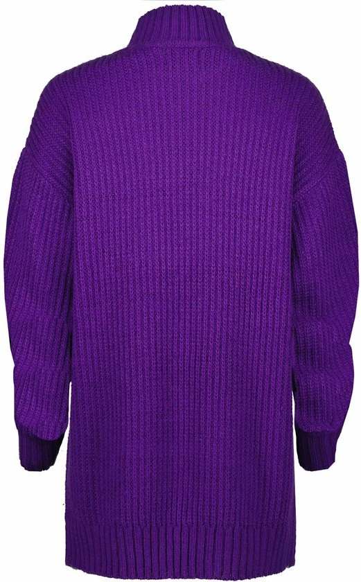 Raizzed X Moïse Mini Dress-SOPHIE Dames Jurk - Maat L 3 Raizzed X Moïse Mini Dress-SOPHIE Dames Jurk - Maat L - Afbeelding 3