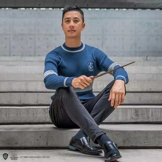 Cinereplicas Harry Potter - Ravenclaw / Ravenklauw Quidditch Sweater / Zwerkbal Trui / Trui-S 4 Cinereplicas Harry Potter - Ravenclaw / Ravenklauw Quidditch Sweater / Zwerkbal Trui / Trui-S - Afbeelding 4