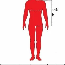 Fruit Of The Loom Sweater Raglan Sweat Ronde Hals Groen Maat XL 7 Fruit Of The Loom Sweater Raglan Sweat Ronde Hals Groen Maat XL -Dameskleding Verkoop 550x765 3