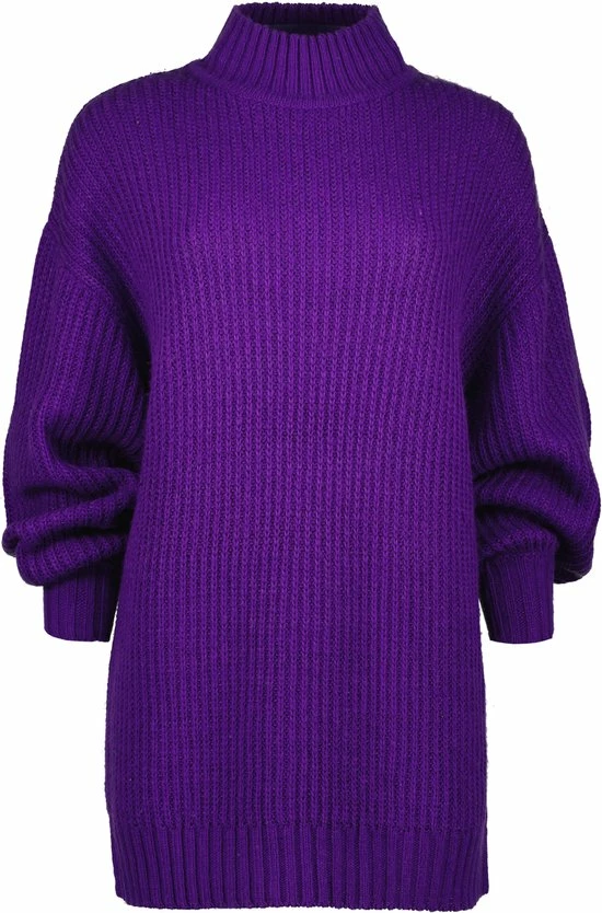 Raizzed X Moïse Mini Dress-SOPHIE Dames Jurk - Maat L 1 Raizzed X Moïse Mini Dress-SOPHIE Dames Jurk - Maat L